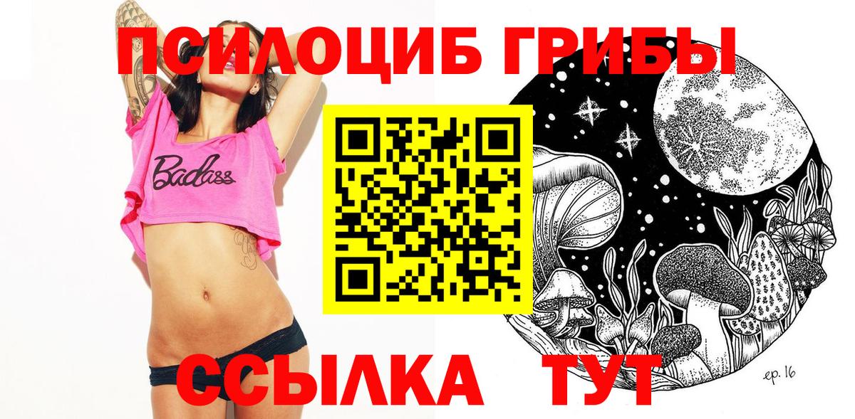 Псилоцибиновые грибы Psilocybe Боровичи