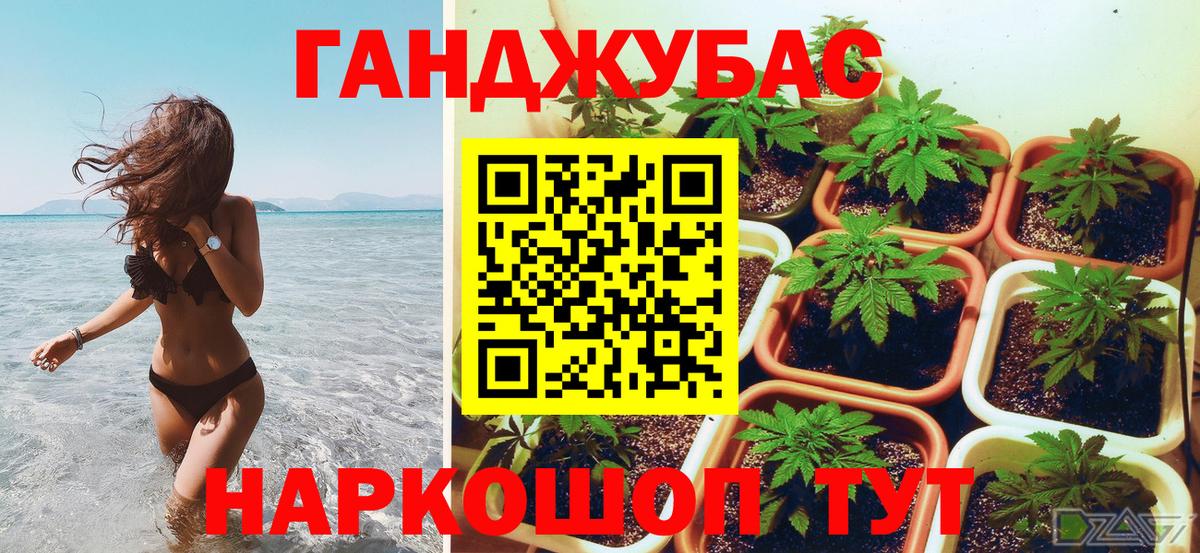 Боровичи  Шишки марихуана OG Kush  Марихуана семена  Вход с VPN  Конопля VHQ 